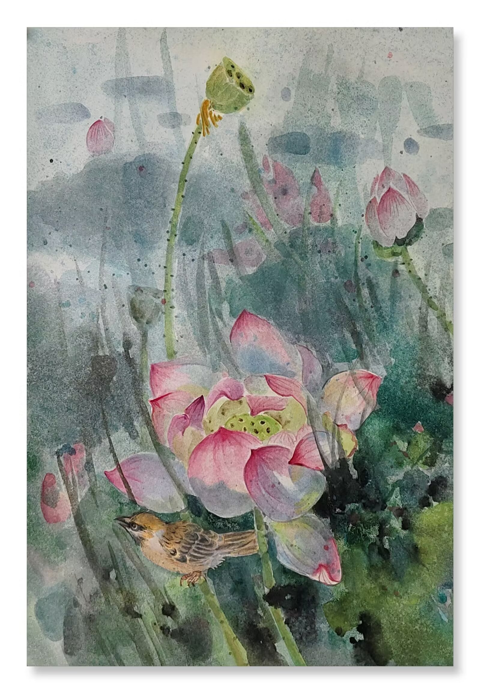 水彩 No.5