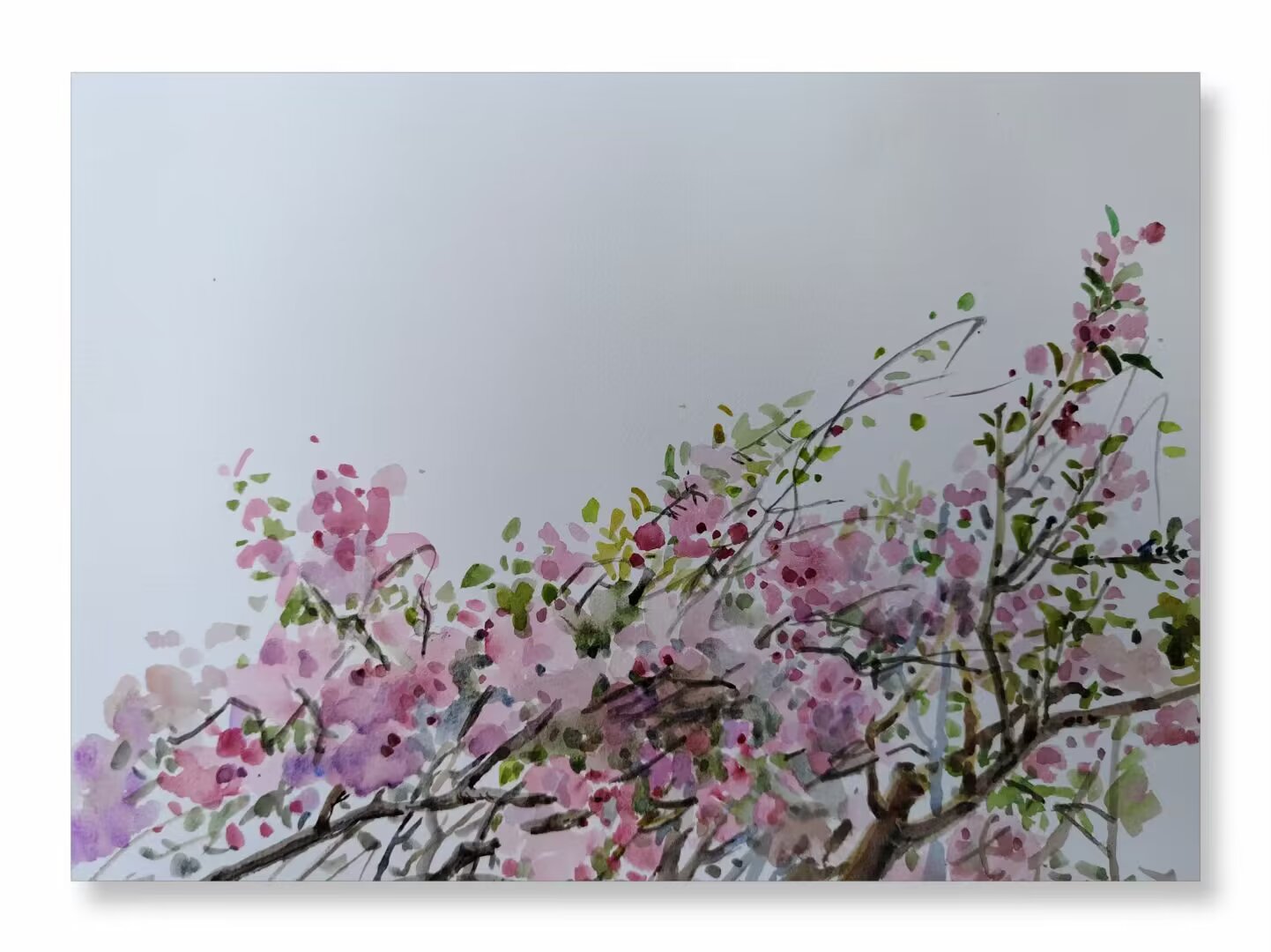水彩 No.63
